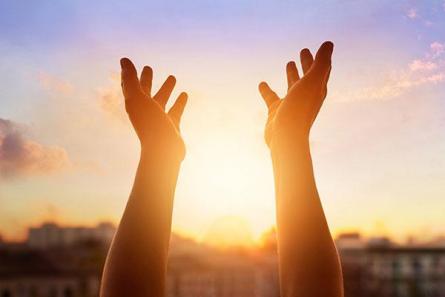 hands in the sun