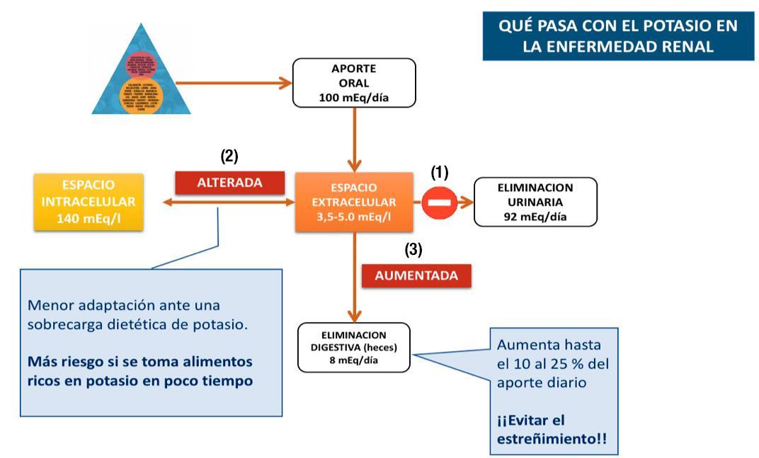 El potasio y la ERC