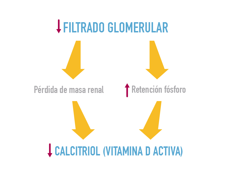 Hiperfosforemia