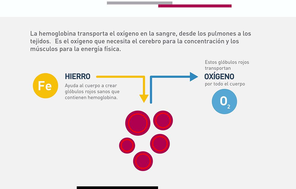 Impacto del déficit de hierro en el organismo