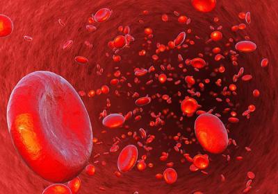 TRATAMIENTOS EN LA ENFERMEDAD RENAL CRÓNICA